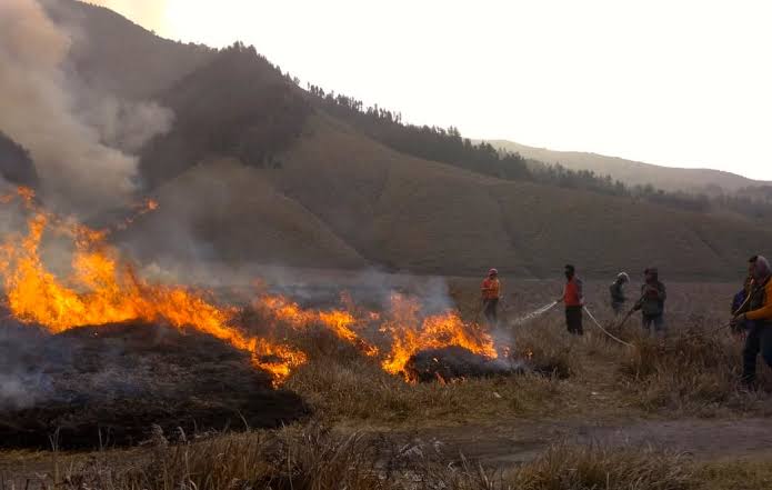 Belasan Hektare Kawasan Gunung Bromo Hangus Terbakar