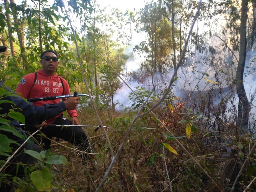 Kebakaran Lahan dan Semak Gunung Batur Bangli Berhasil Dipadamkan