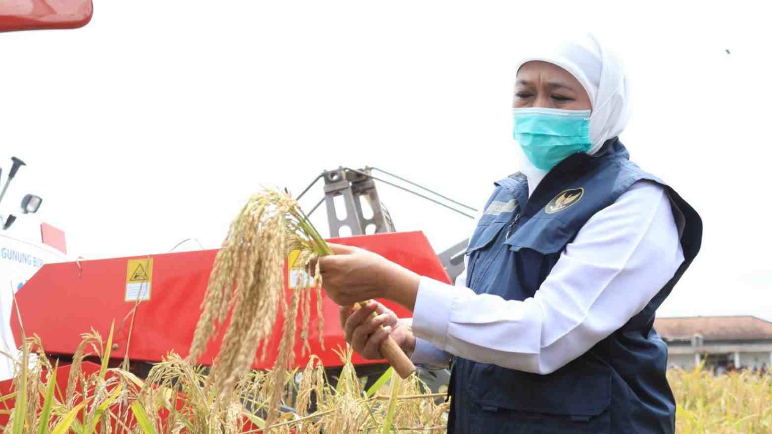 Limbah Makanan Tembus Rp 551 Triliun per Tahun, Food Waste di Jatim Tahun 2020 Capai 7,4 Ton