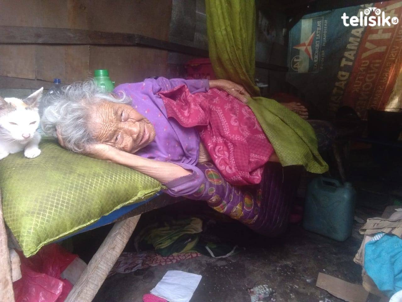 Lurah Sodohoa di Kendari Ngaku Sudah Perhatikan Mariati, Nenek Tua Renta di Gubuk Reyot