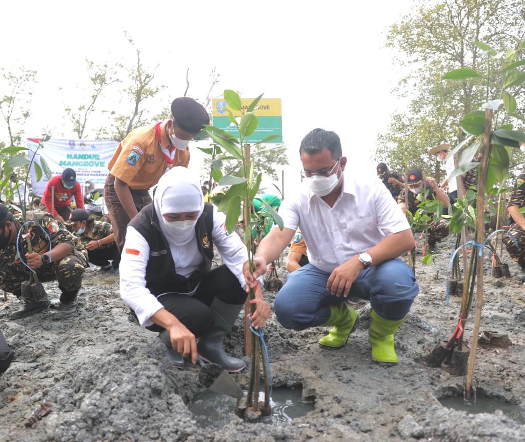 Minimalisir Dampak Bencana Alam, Jatim Kebut Restorasi Mangrove