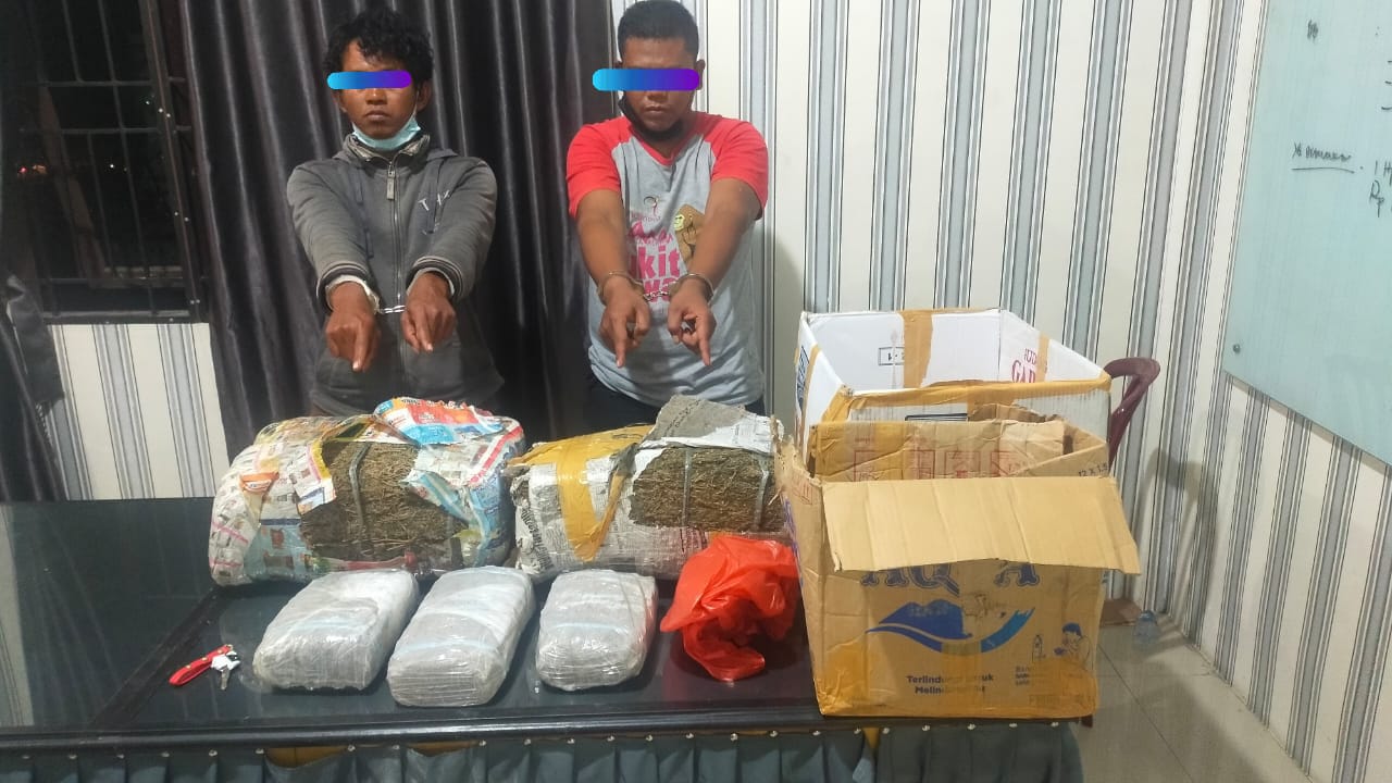 Petani Ditangkap Edarkan Ganja, Polisi Buru Bandarnya