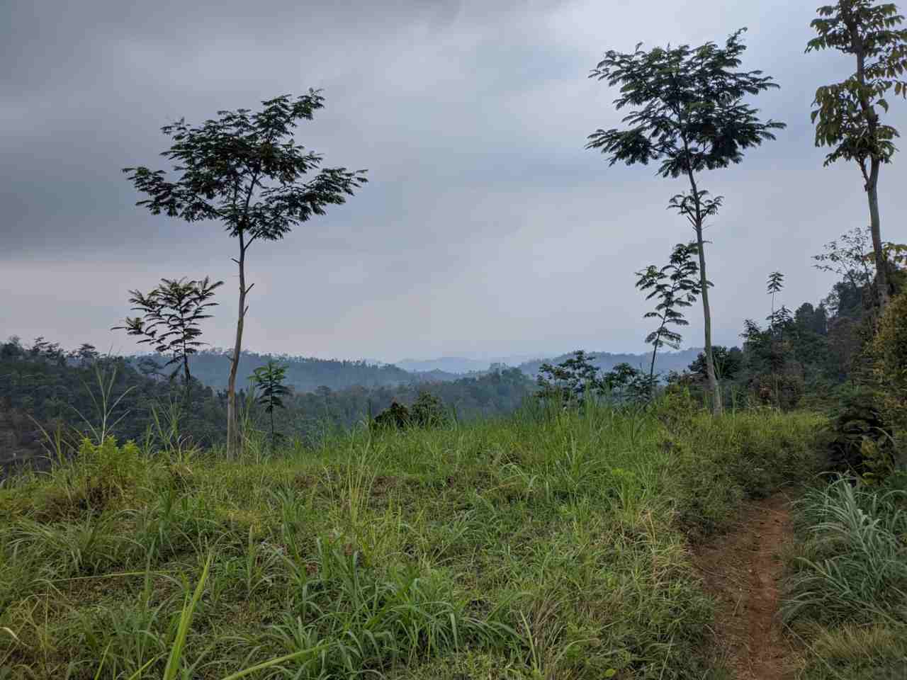 Tak Kunjung Keluarkan Sertifikat Kepemilikan Tanah, Kinerja BPN Jombang Disorot