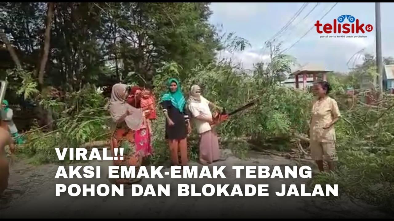 Video: Viral, Aksi Emak-Emak di Muna Sultra Tebang Pohon dan Blokade Jalan