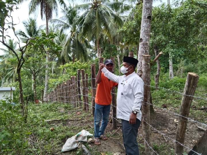 Dinas Pertanian Butur Salurkan Bantuan Penangkaran Sapi untuk Peternak