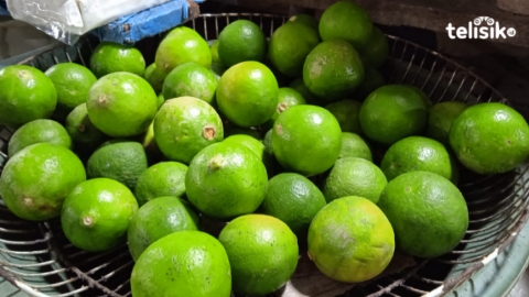 Harga Jeruk Nipis Melejit, Pedagang Sebut yang Punya Kebun Bisa Naik Haji