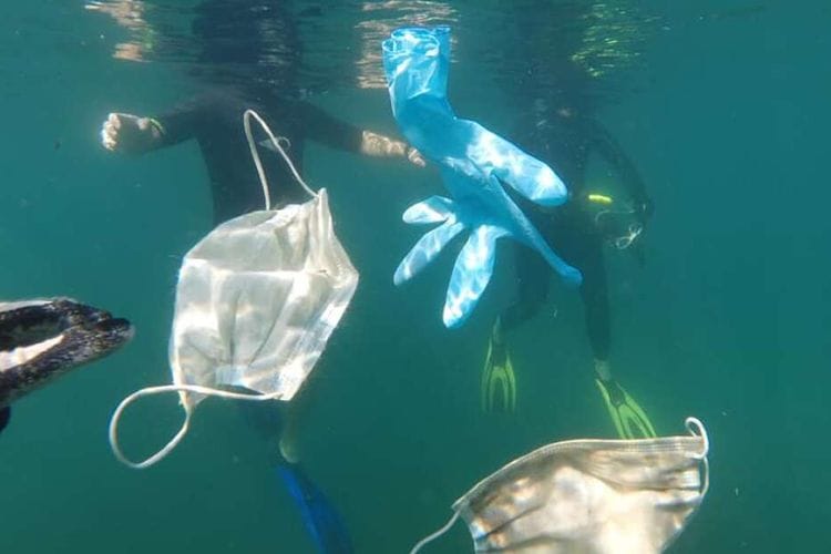 Jutaan Ton Sampah Pandemi Berenang di Lautan, Habitat Laut Terancam Punah?