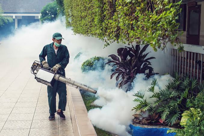 DBD di Kendari Meningkat hingga 176 Kasus, Fogging Bukan Solusi