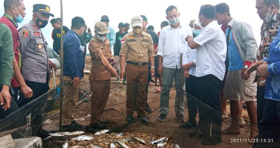 Panen Udang Vaname, Pemda Konsel Genjot Pengembangan Potensi Perikanan