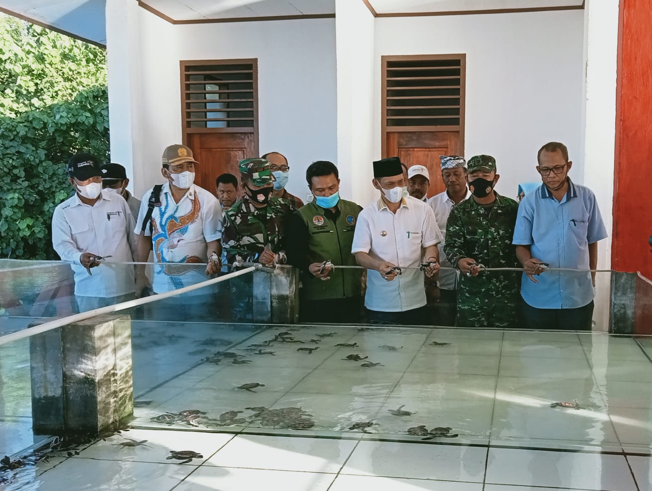 Warga Wakatobi Didorong Ikut Lestarikan Habitat Penyu