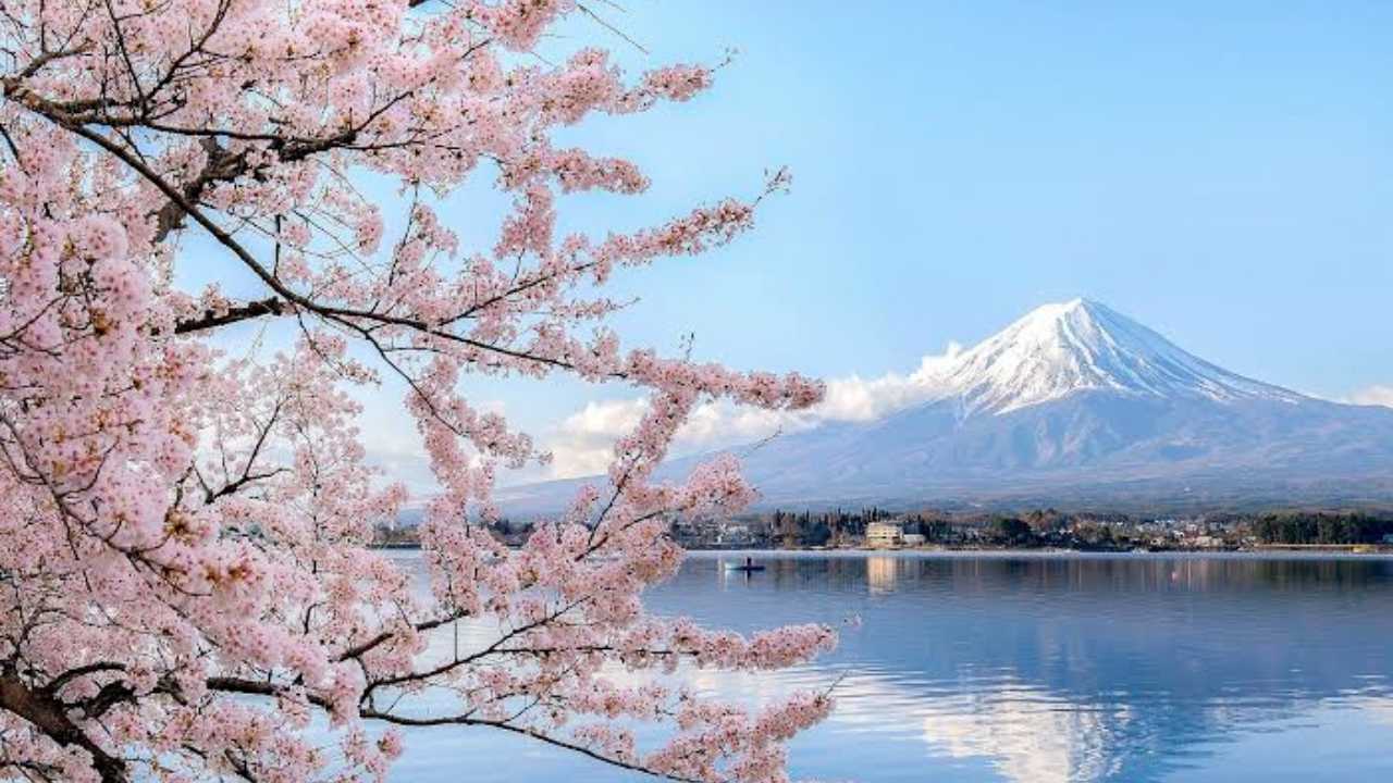 Buruan Daftar, Beasiswa Ajinomoto Kuliah ke Jepang dengan Rp 22,7 Juta per Bulan