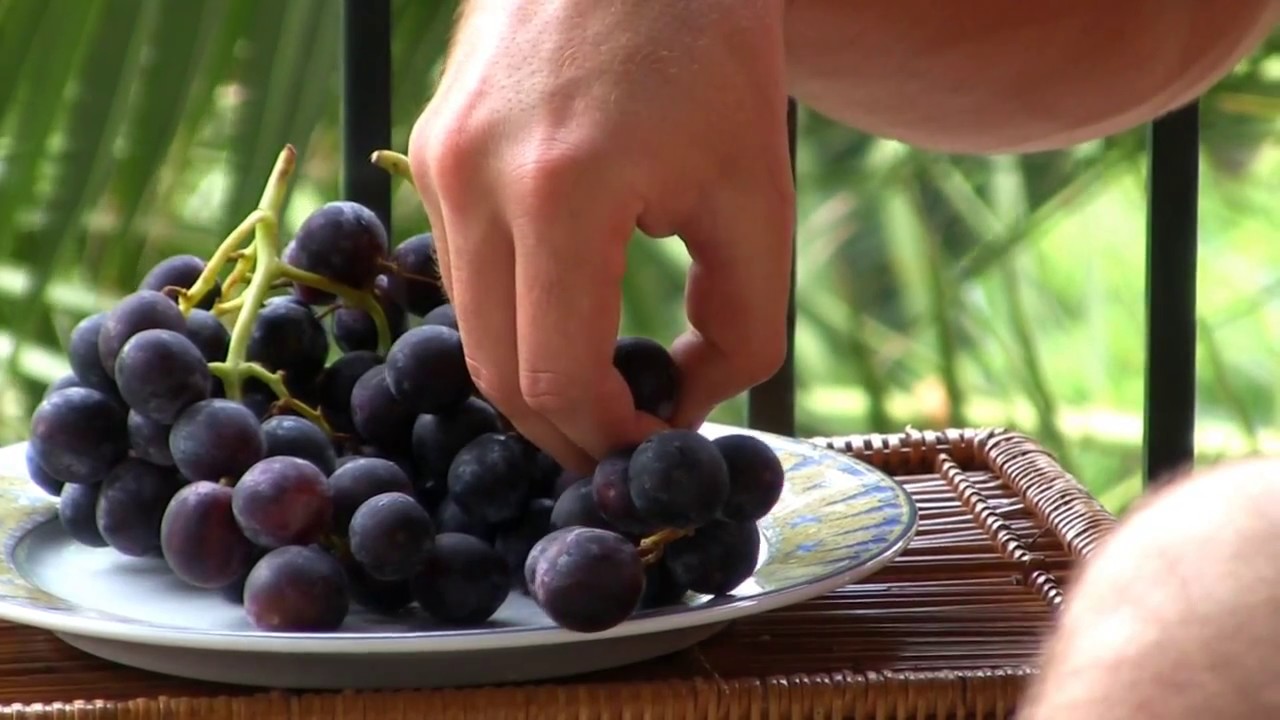 Ini Makanan Favorit Rasulullah SAW, Berkah dan Menyehatkan