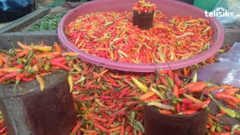Jelang Nataru, Harga Cabai di Kendari Makin Pedas