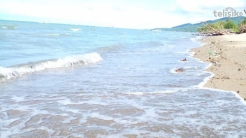 Kabar Baik, BMKG Cabut Peringatan Tsunami untuk NTT Pasca Gempa