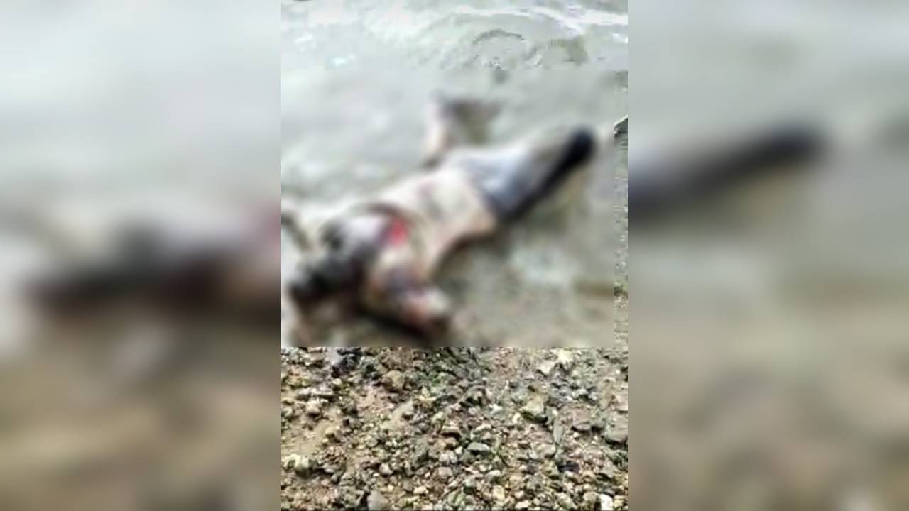 Mayat Nelayan Asal Buton Ditemukan Terdampar di Perairan Mataindaha Muna