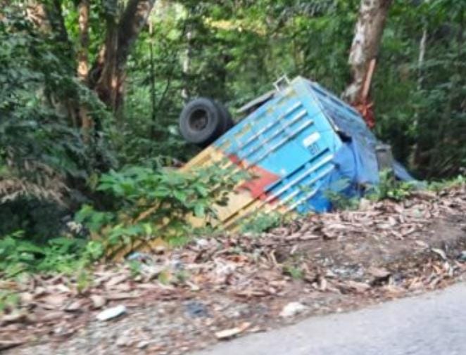 Mobil Truk di Konawe Jatuh ke Jurang, Diduga Sopir Mengantuk