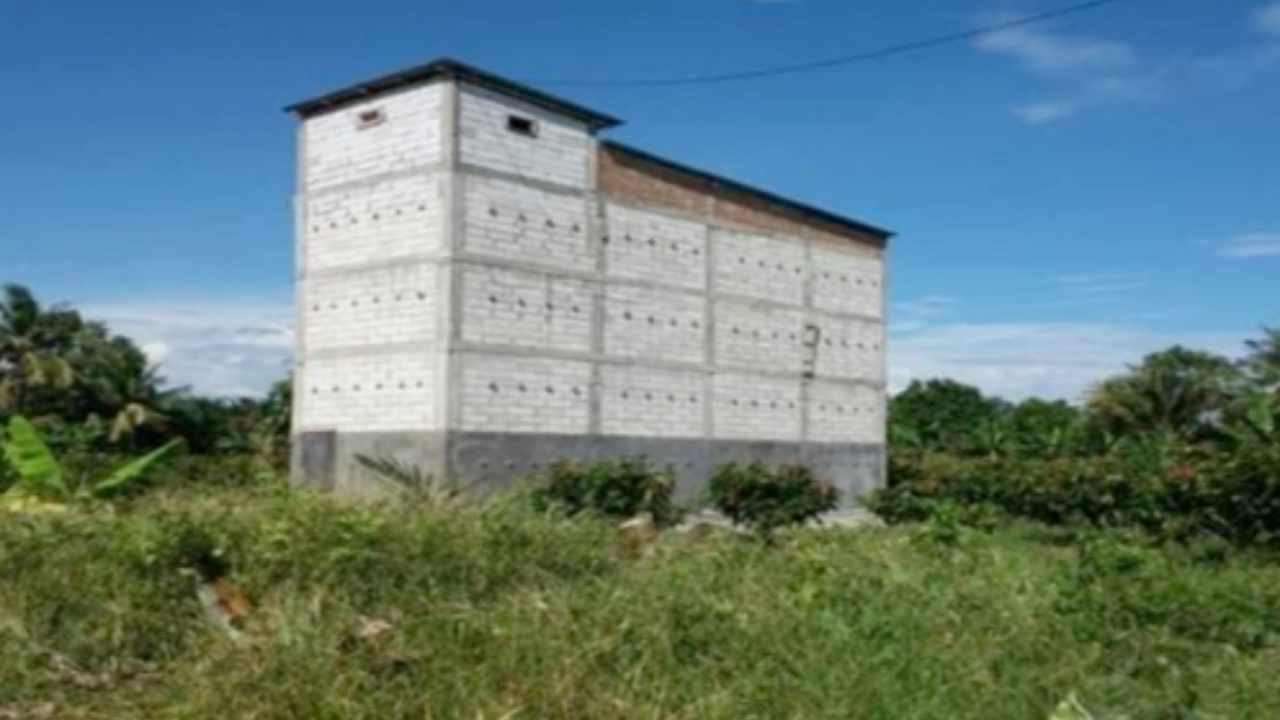 Pemkab Kolut Lirik PAD Pajak Sarang Burung Walet