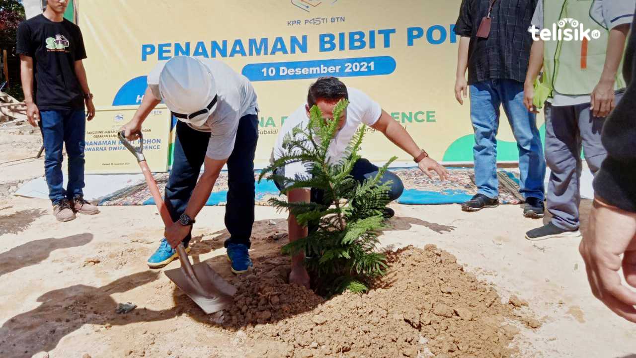 Pentingnya Peranan Pohon dalam Kehidupan Manusia