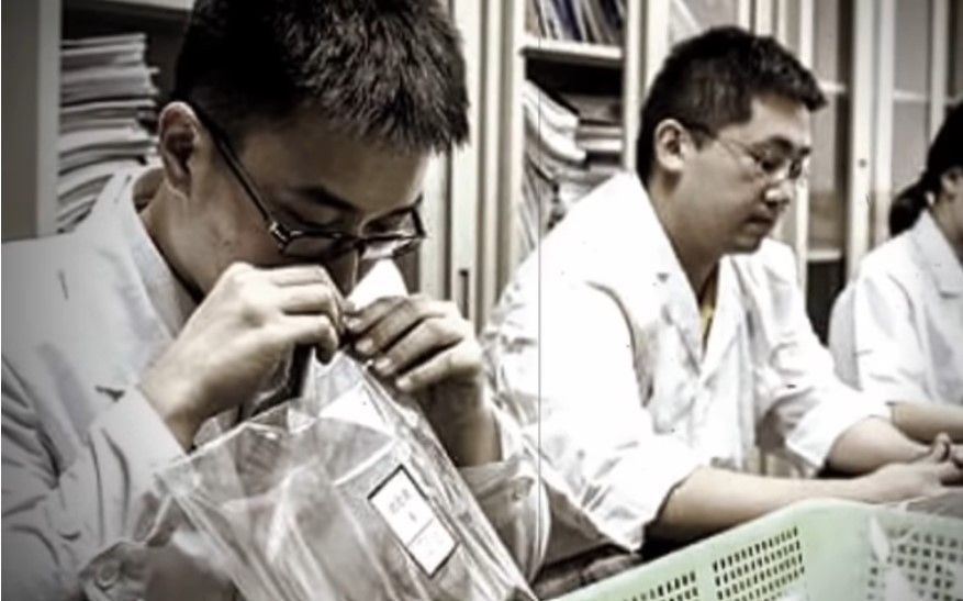 Dibuka Lowongan Pekerjaan Isap Bau Kentut di Negara Ini, Gajinya sampai Ratusan Juta