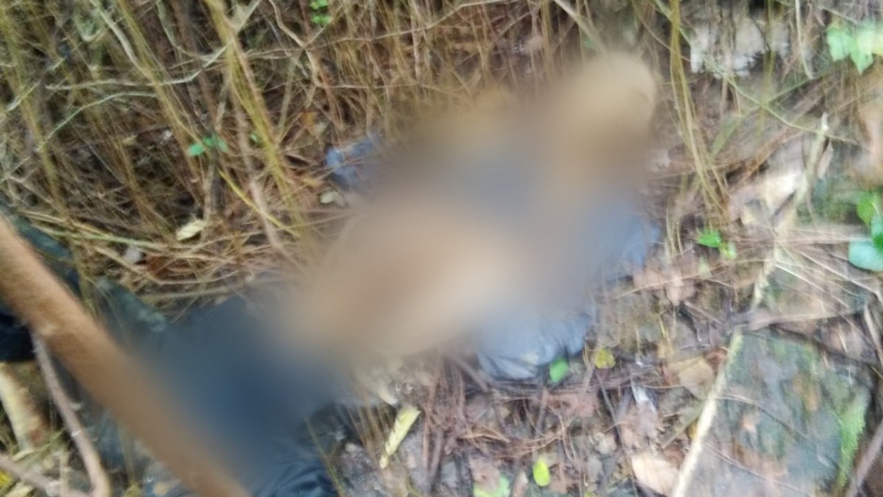 Kerangka Manusia Berbaju Biru Ditemukan di Semak Belukar