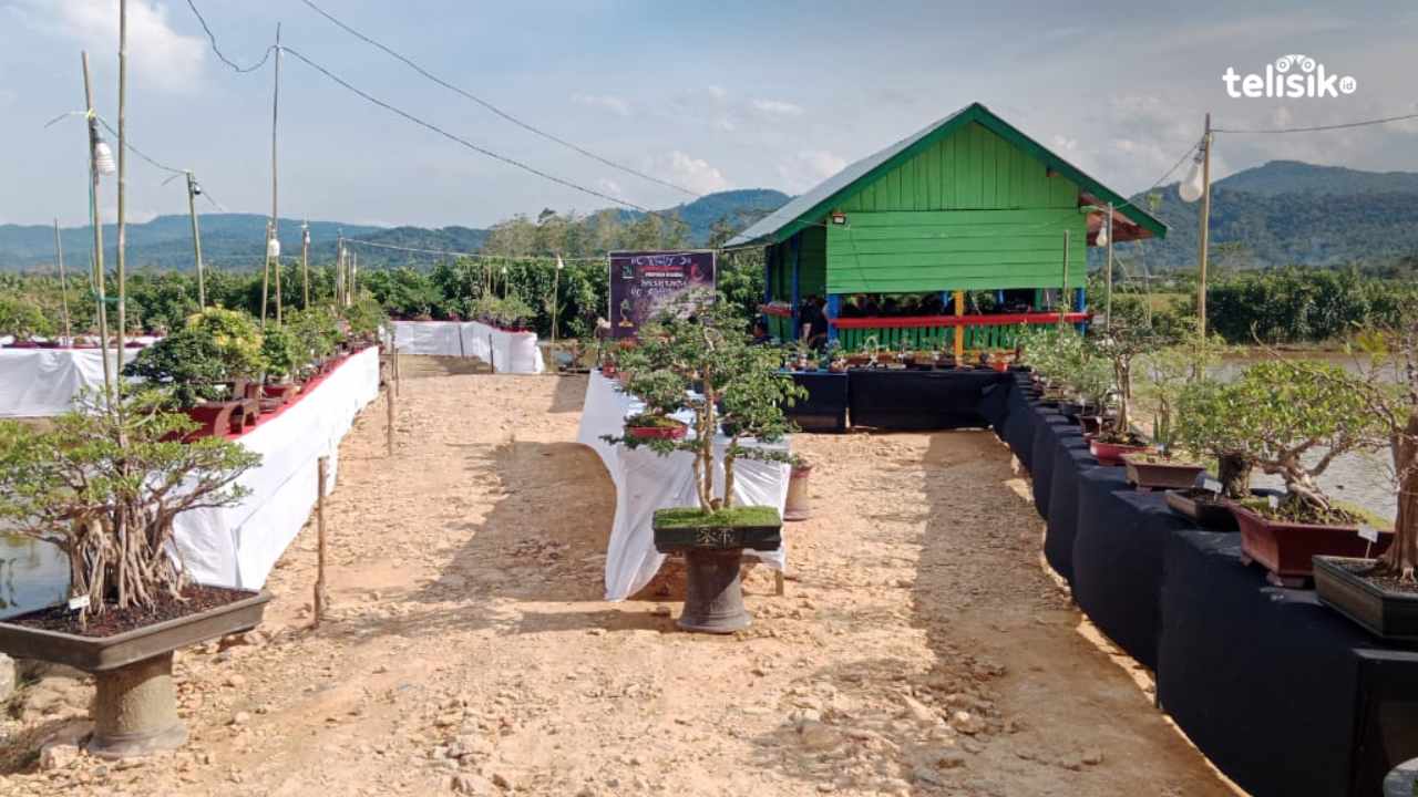 Komunitas Ini Perkenalkan Berbagai Jenis Bonsai