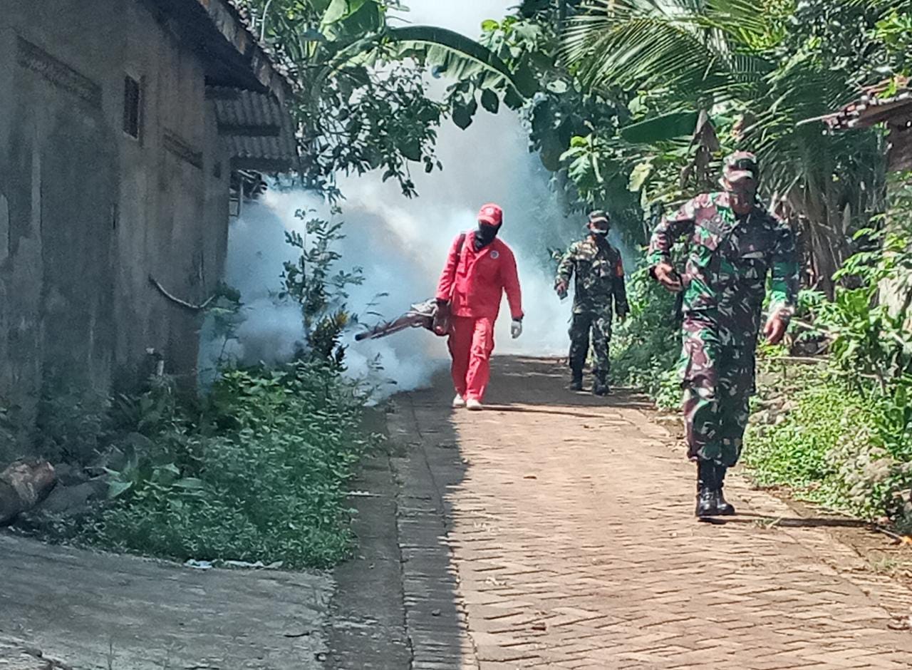 Penderita DBD Melonjak, Gubernur Jatim Warning Masyarakat