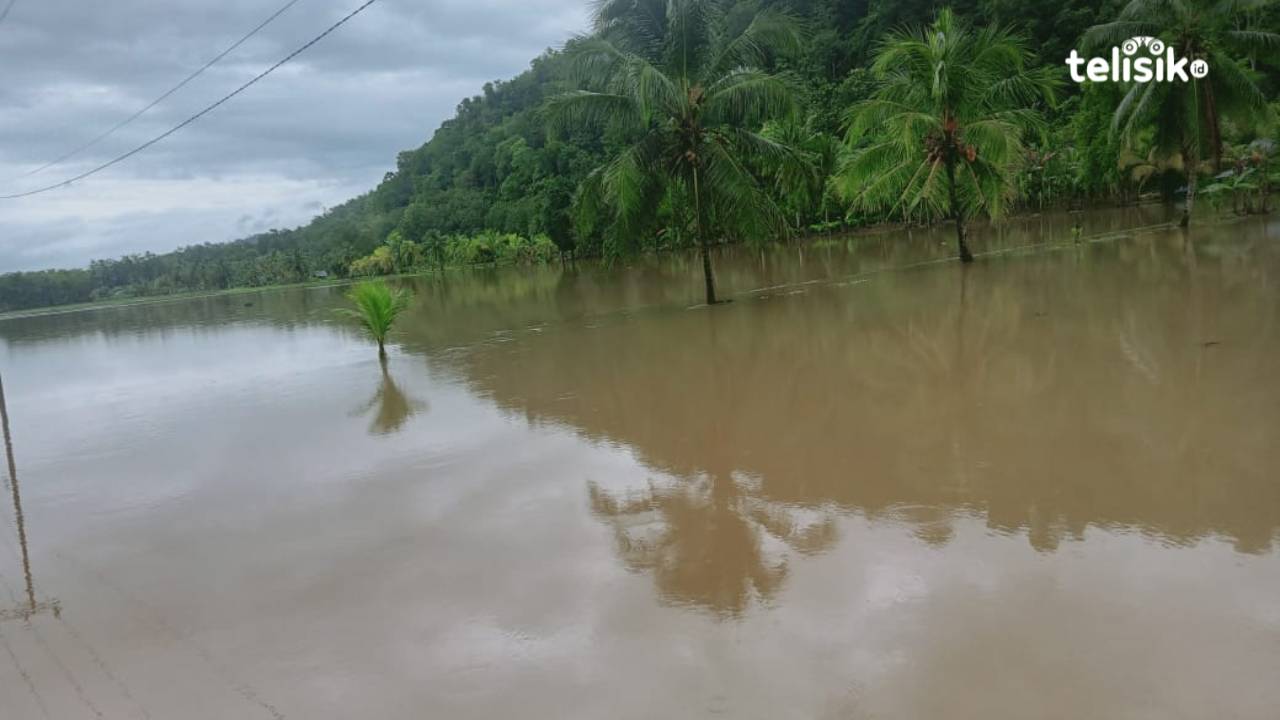 Banjir Genangi Ratusan Hektar Sawah di Baubau