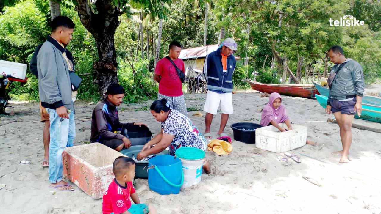 Gempa di Manggarai Rupanya Terjadi 89 Kali, Warga Reok Tetap Aktivitas Biasa