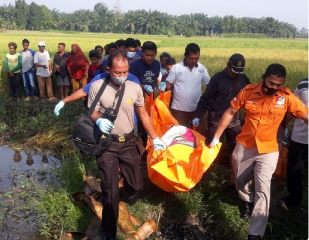 Jasad Wanita Ditemukan Telungkup di Sawah, Polisi Lakukan Otopsi