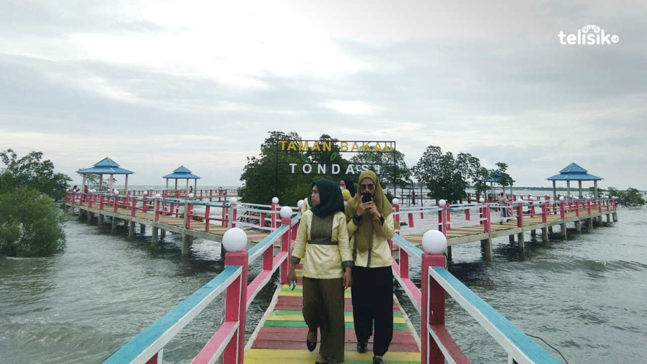 Viral, Taman Bakau Tondasi Jadi Tempat Wisata Menarik