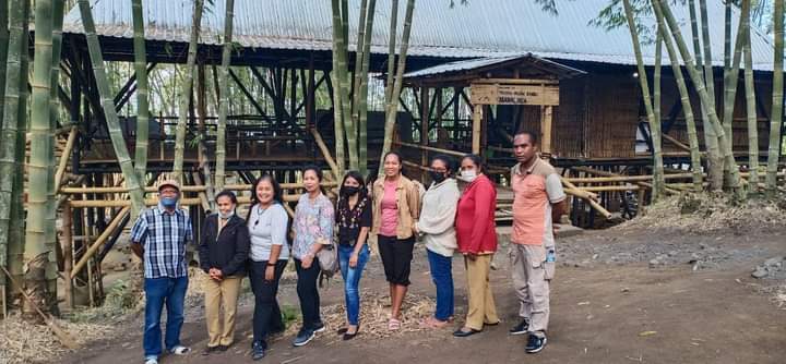 Di Kabupaten Ngada NTT, Pemerintah Manfatakan Kayu Bambu untuk Gerakan Ekonomi