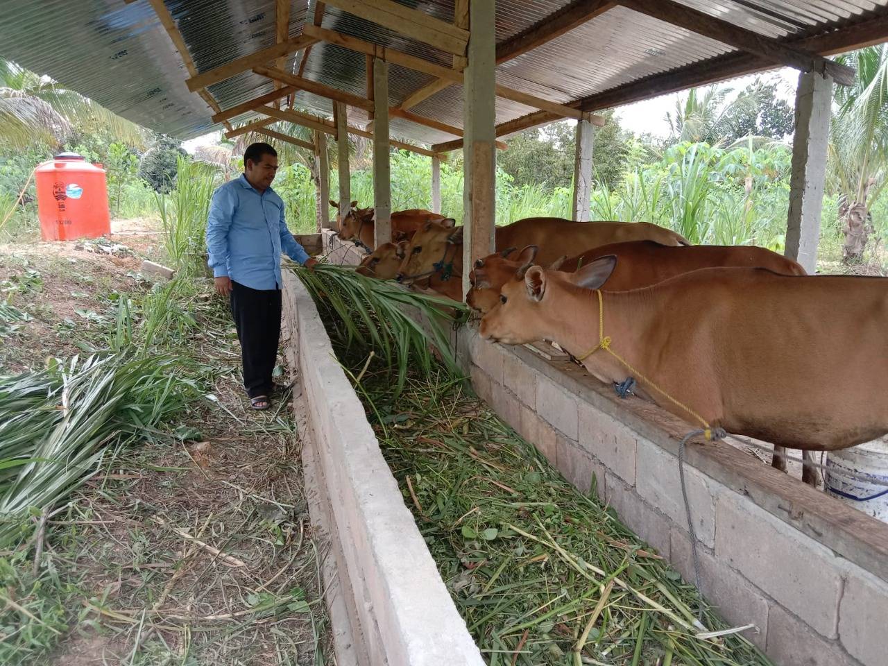 Disnak Konsel Awasi Lalu Lintas Ternak