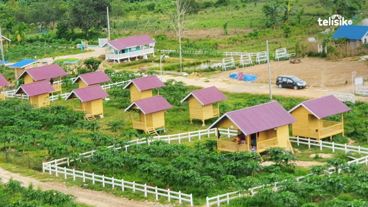 Pertama di Kendari, Agrowisata California Cialam Siap Buka untuk Umum