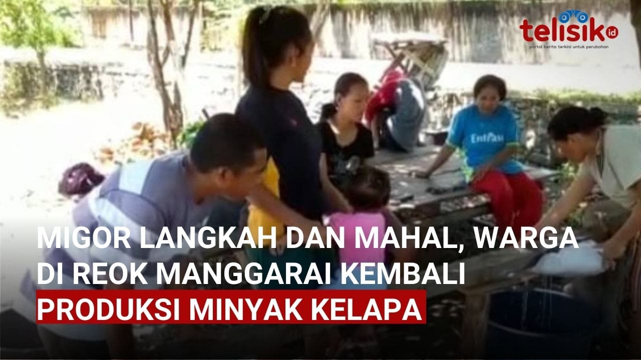 Video: Migor Langka dan Mahal, Warga di Reok Manggarai Kembali Produksi Minyak Kelapa