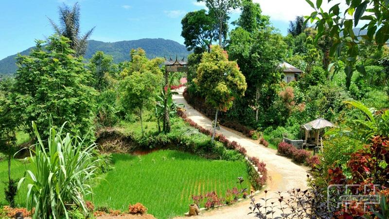 Cegah Perubahan Iklim, DLH Sultra Canangkan Program Kampung Iklim