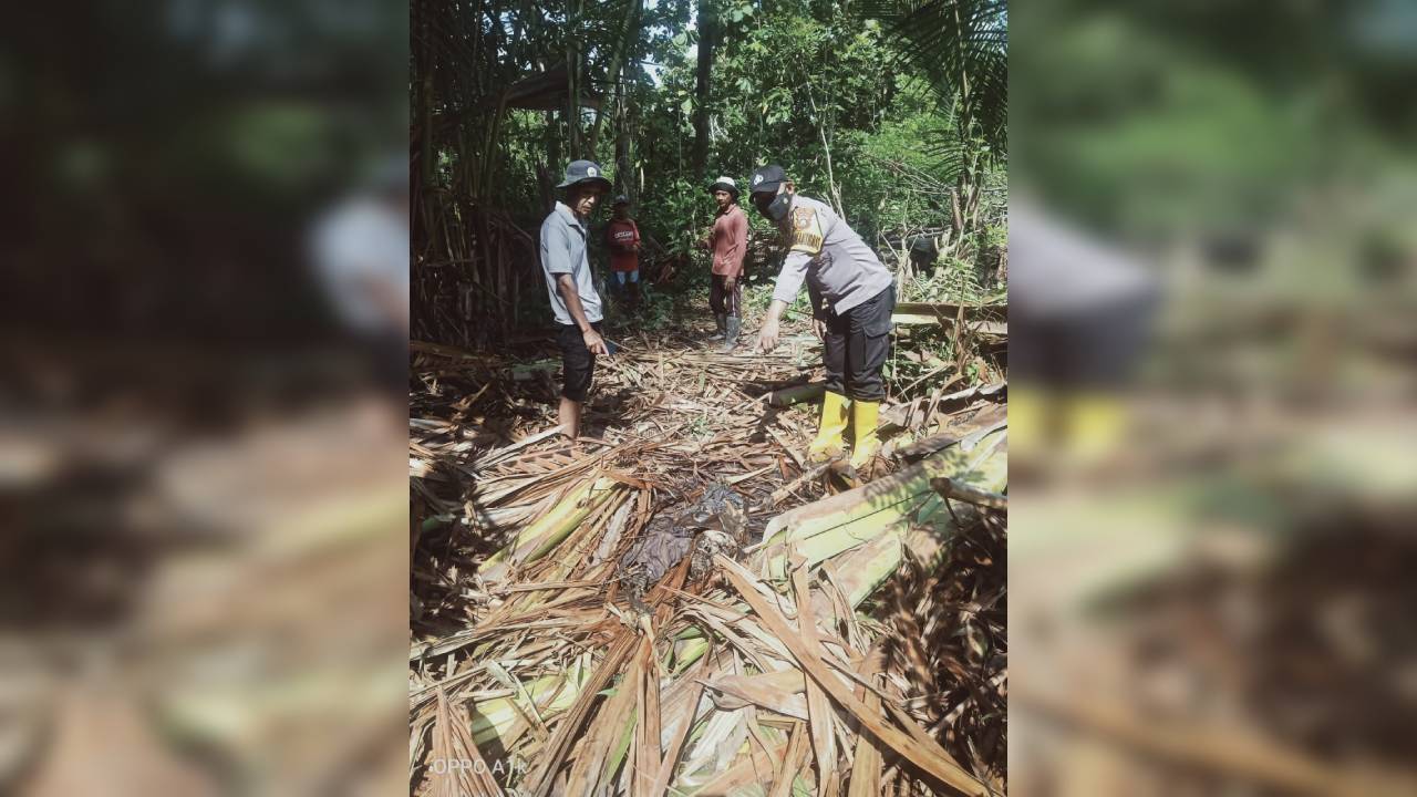 Hilang Seminggu, Pria Usia 93 Tahun Ditemukan Sudah Jadi Tengkorak