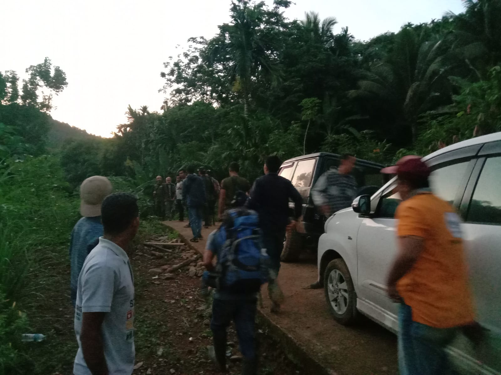 Mengamuk, Harimau Sumatera Serang Dokter Hewan di Tapsel - Sumut