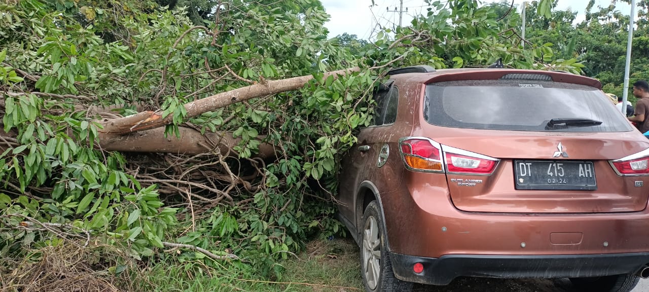 Mobilnya Tertimpa Pohon, Anggota DPRD Mubar Selamat