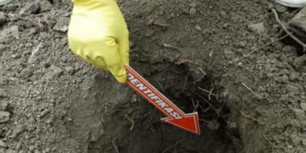 Warga di Malaka NTT Temukan Mayat Pria di Hutan, Badan dan Kepalanya Terpisah