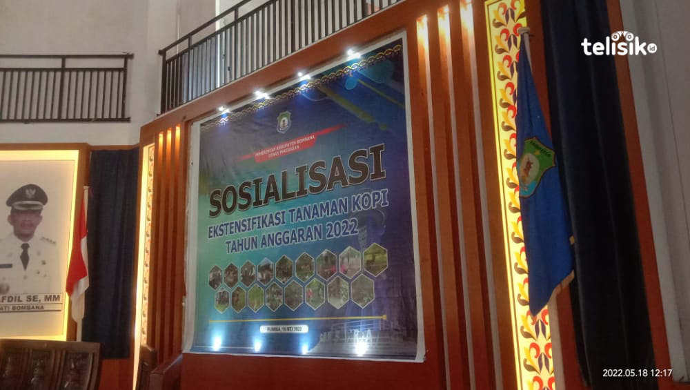 Anggaran Pengadaan Bibit Kopi di Bombana Fantastis, Capai Rp 9,9 Miliar