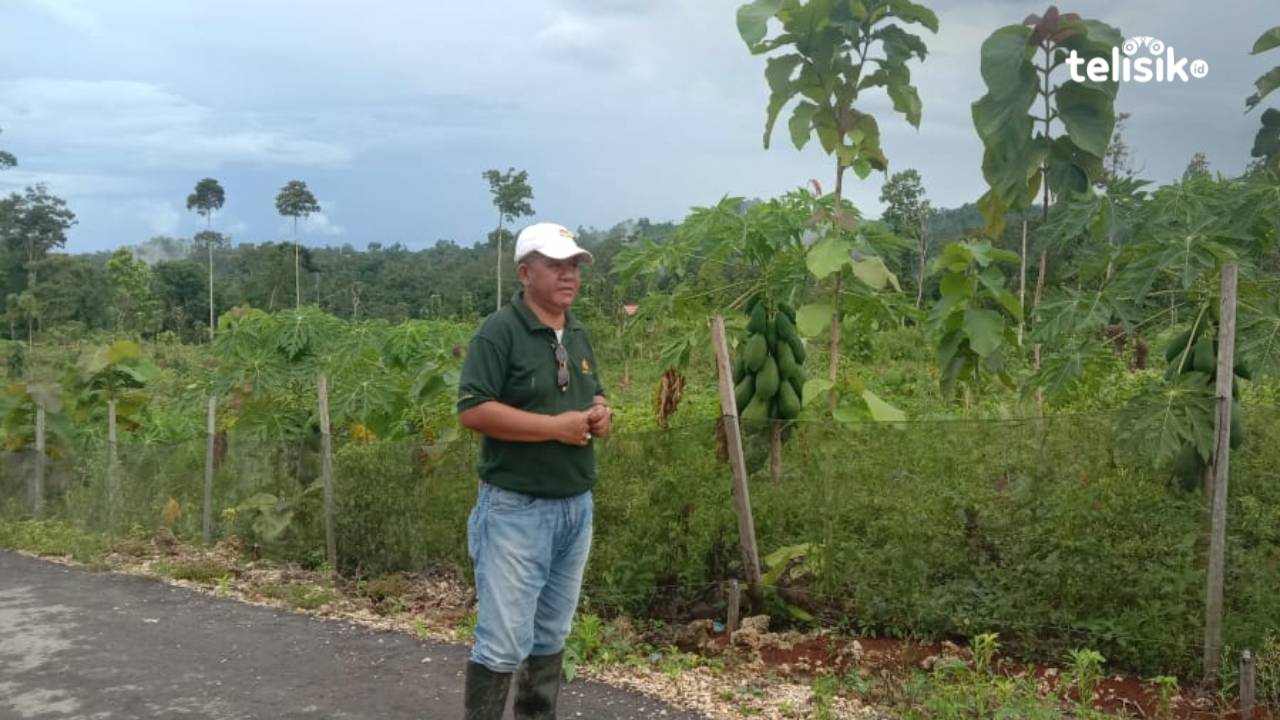 Butur Bakal Bangun Embung untuk Kebutuhan Air Petani