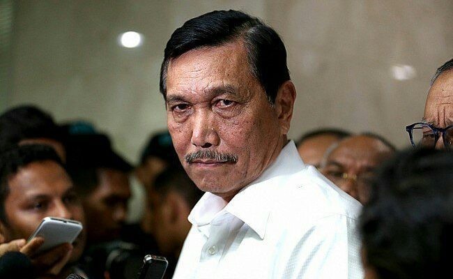 Jokowi Beri Tugas Baru Luhut Urus Minyak Goreng, PDIP Bingung: Tak Ada yang Lain?
