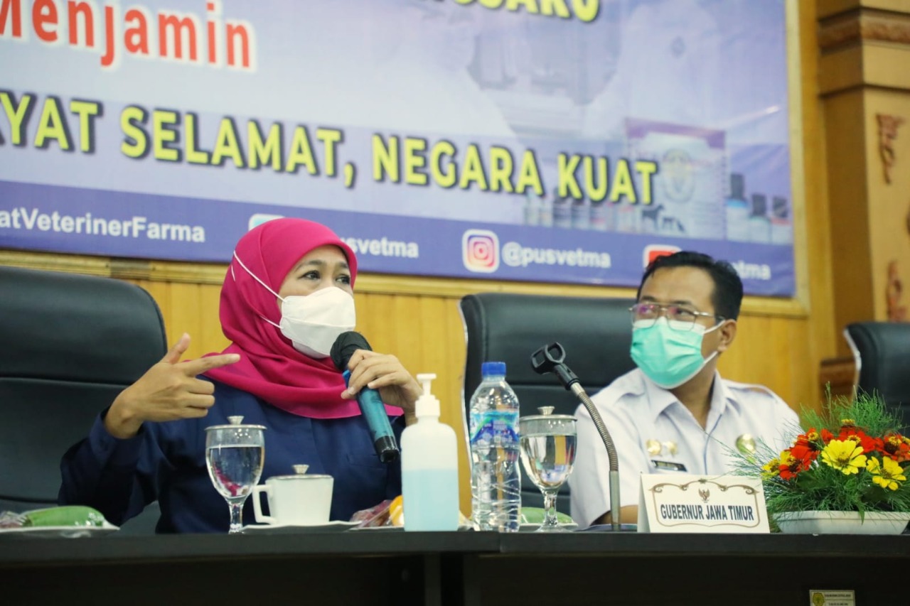 Masuk Zona Hijau, Ternak di 15 Daerah Jawa Timur Bebas PMK