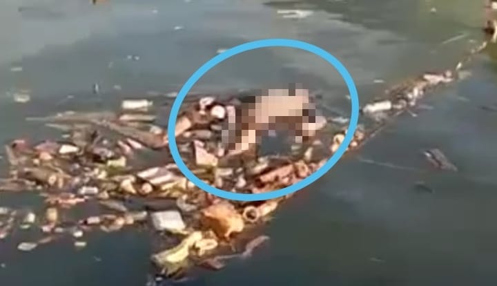 Seorang Pria Ditemukan Tewas di Teluk Kendari, Begini Kronologinya