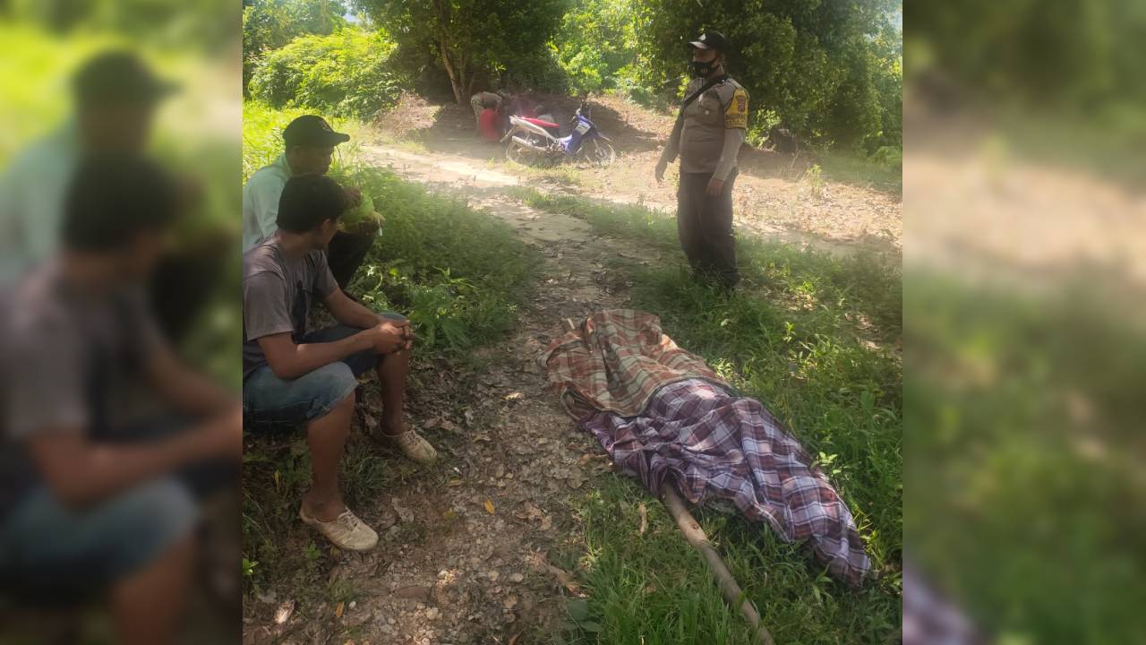 Soal Tapal Batas, Kakek Ini Tewas Ditikam Tetangga Kebunnya