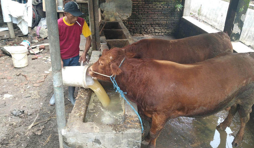 Cegah PMK, Pemkab Malang Diminta Segera Distribusikan 3 Juta Vaksin Ternak