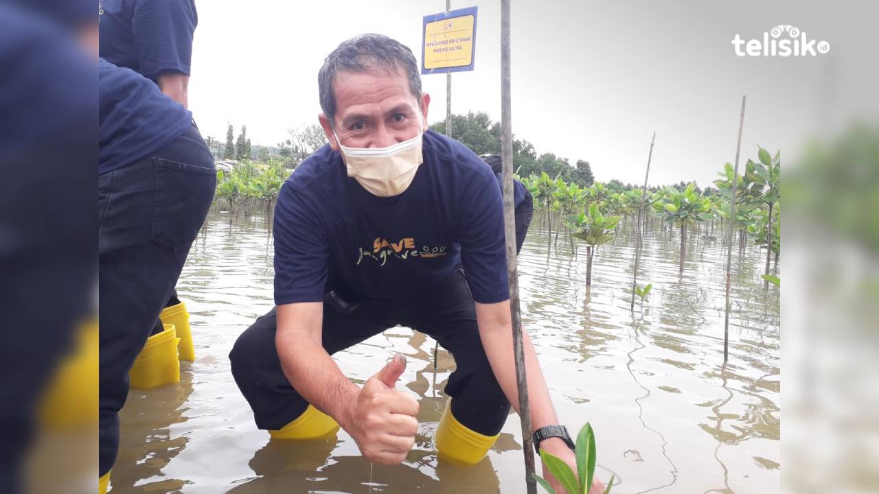 DLH Sulawesi Tenggara Berpartisipasi dalam Penanaman 1000 Mangrove di Teluk Kendari