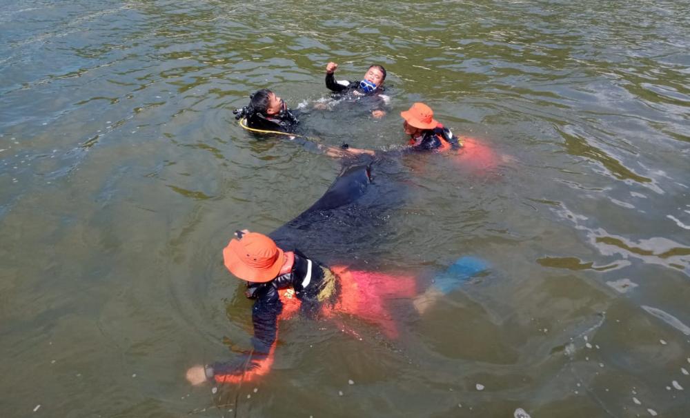 Pekerja Proyek Jembatan Tewas Tenggelam di Danau Toba