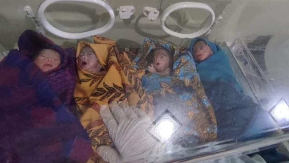 Pemkab Kolaka Timur Gerak Cepat Bantu Warga yang Lahirkan Bayi Kembar Empat