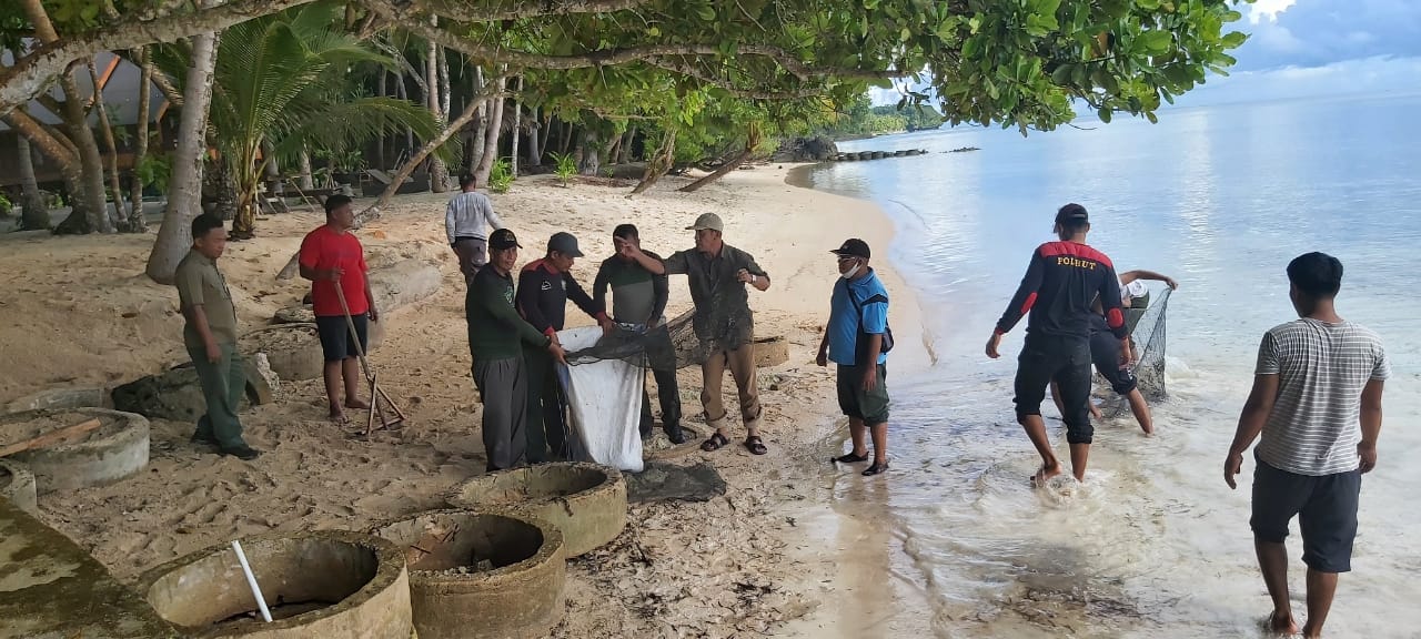 Peringati Hari Lingkungan Hidup Sedunia, DLH Sulawesi Tenggara Gelar Aksi Bersih Pantai
